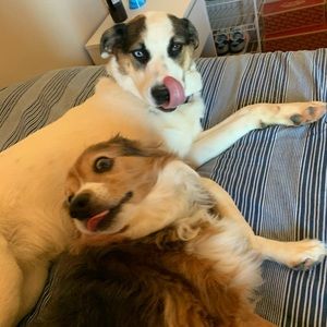 Meet your Posher, Michaela